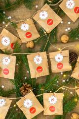 Rückseite Adventskalender für Katzen